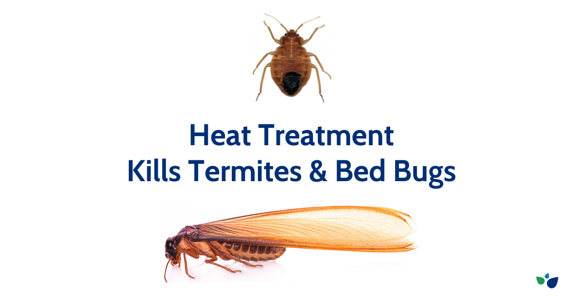 Heat Treatment vs Fumigation Precision Environmental